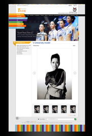 武汉网站建设与软件开发的专业服务概述