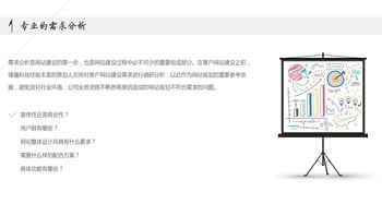 3ti软件开发 从插件脚本到整站建设与网页设计的全方位解决方案